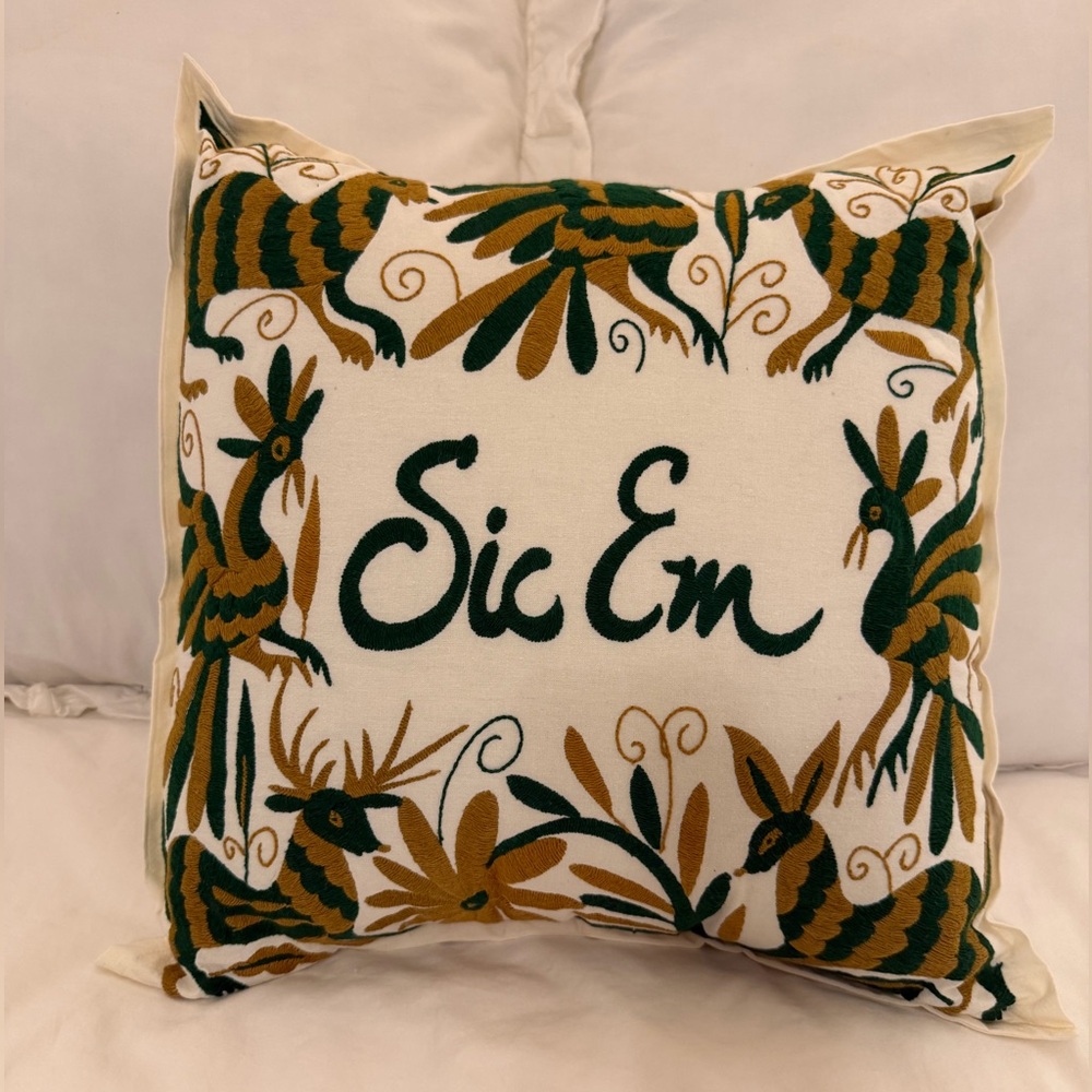 Baylor Embroidered Decorative Pillow with Green and Brown Design